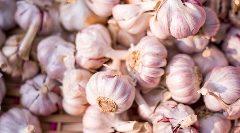 L'aglio migliora la sintesi del testosterone
