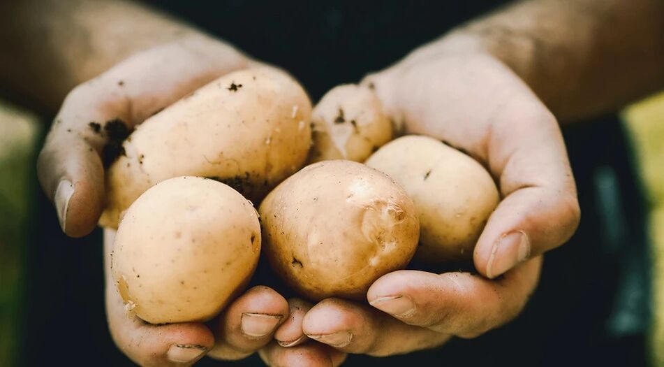 Le patate hanno un effetto positivo sulla salute degli uomini